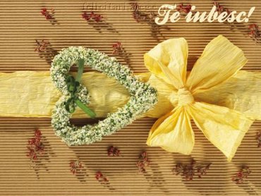 Te Iubesc!
